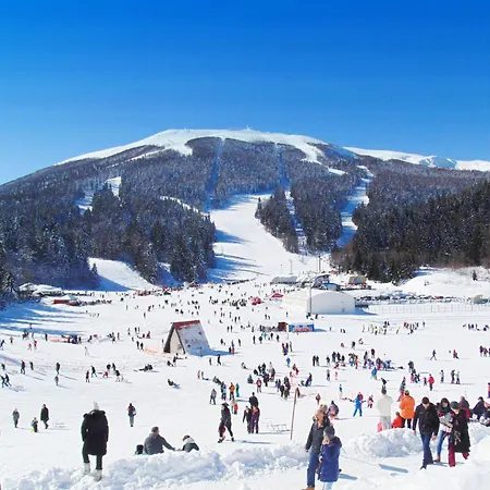 Mountain Magic * Bjelašnica